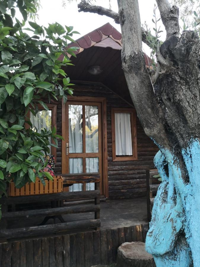 Zeytindagi Bungalow Mehmetalani المظهر الخارجي الصورة