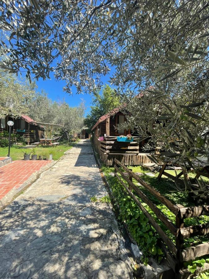 Zeytindagi Bungalow Mehmetalani المظهر الخارجي الصورة