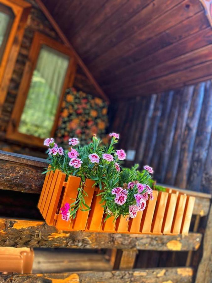 Zeytindagi Bungalow Mehmetalani المظهر الخارجي الصورة