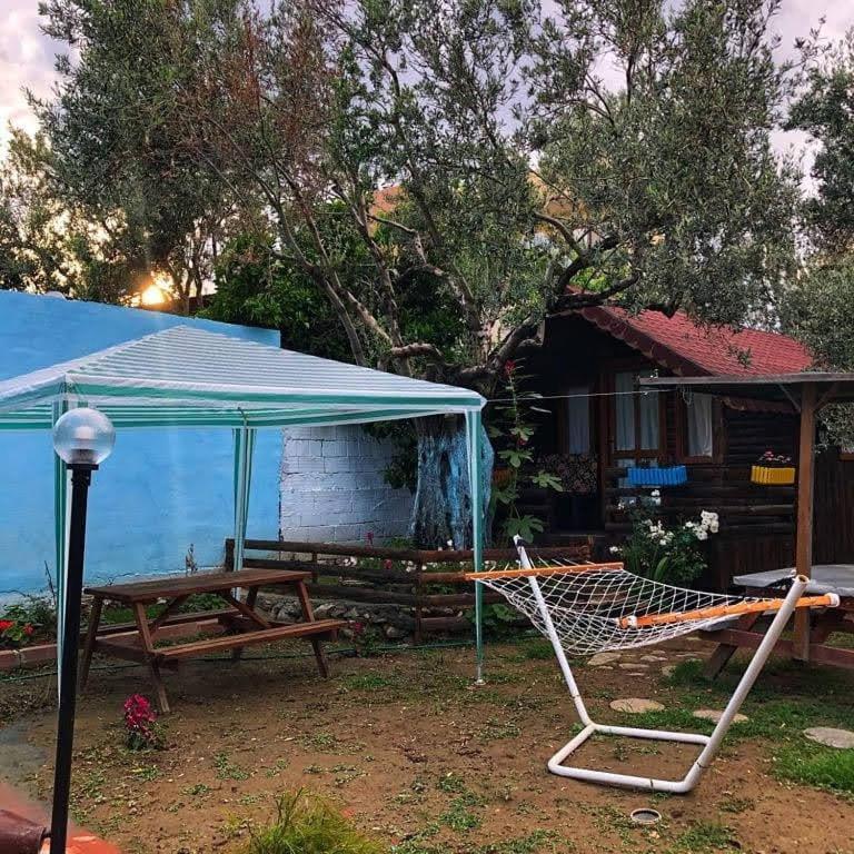 Zeytindagi Bungalow Mehmetalani المظهر الخارجي الصورة