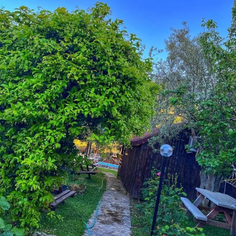 Zeytindagi Bungalow Mehmetalani المظهر الخارجي الصورة
