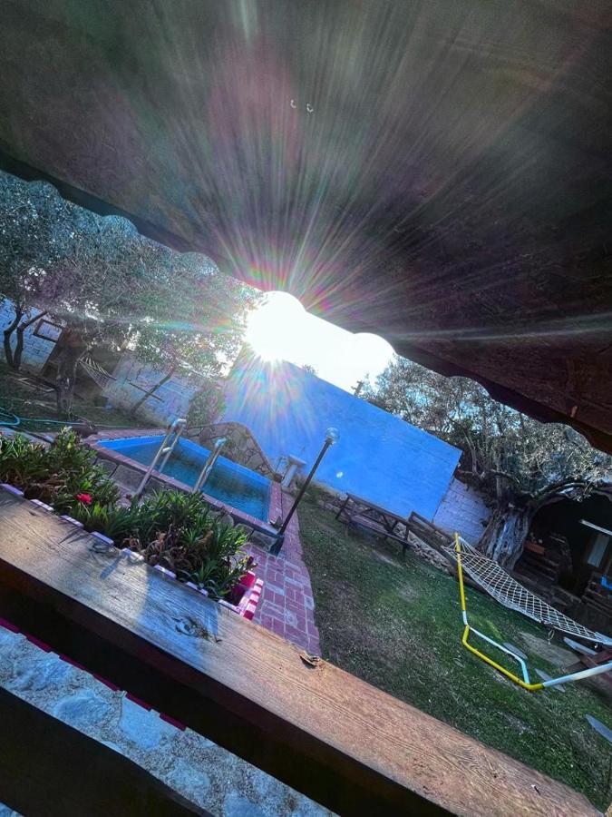 Zeytindagi Bungalow Mehmetalani المظهر الخارجي الصورة
