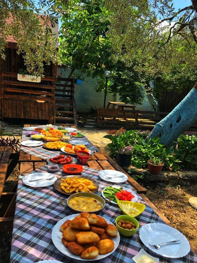 Zeytindagi Bungalow Mehmetalani المظهر الخارجي الصورة
